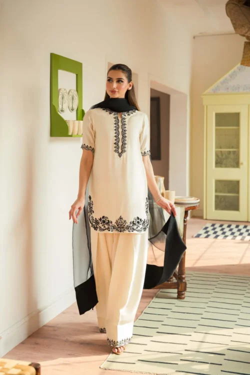 1️⃣ Embroidered Sheesha Silk Suit for Women with Pearl & Crystal Detailing
