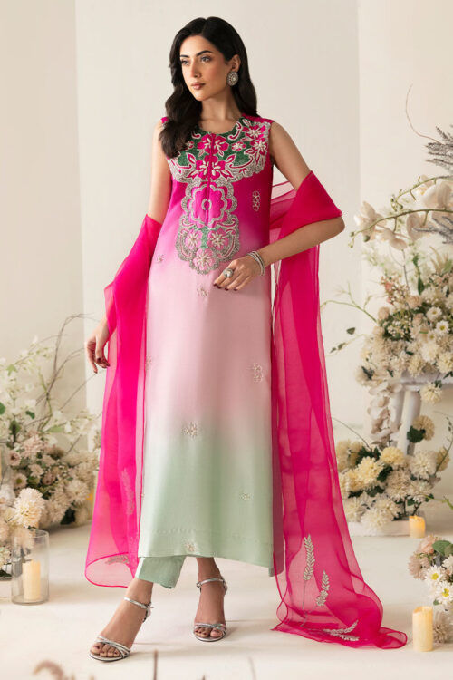 Traditional gradient dress 2025 with sheer pink dupatta